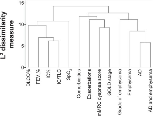 Figure 4 Hierarchical cluster analysis of lung function parameters, number of comorbidities, number of exacerbations, mMRC score, and GOLD score as well as evaluation of HR-CT scans for the presence of emphysema, AD or both emphysema and AD.