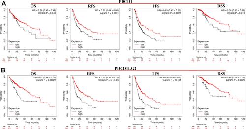 Figure 3 The prognosis analysis of immune checkpoints in HCC. (A) Survival curve of HCC patients with high and low PDCD1 expression in overall survival, recurrence-free survival, progression free survival, and disease-specific survival analysis. (B) Survival curve of HCC patients with high and low PDCD1LG2 expression in overall survival, recurrence-free survival, progression free survival, and disease-specific survival analysis.