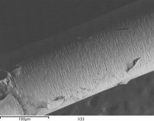 Figure 15 Representative SEM of control group attached to IPS empress core (original magnification 33) demonstrating adhesive/Cohesive type of failure.