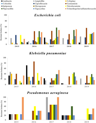 Figure 2 Annual percentage (as a percentage) of antibiotic resistance among the most commonly identified Gram-negative (Escherichia coli, Klebsiella pneumoniae and Pseudomonas aeruginosa) in patients with UTIs in Ha’il, Saudi Arabia, between 2015 and 2019.