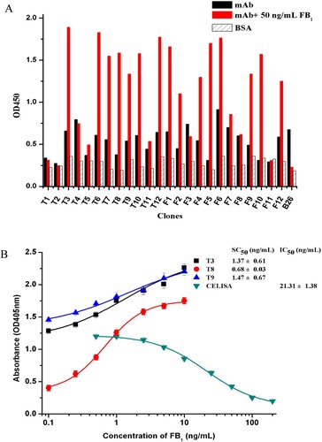 Figure 2. (a) Phage ELISA results with several single clones towards 3F11 with 50 ng/mL FB1 (red column), without FB1 (black column) or BSA (slash column). (b) Noncompetitive idiometric nanobodies phage ELISA for FB1 set up with different phage Ab2α. Data are reported as an average ± standard error.