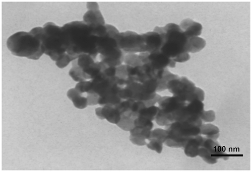 Figure 3 TEM image of PCA–PCL–PCA–cisplatin nanoparticles.