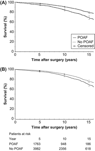 Figure 1. Kaplan–Meier survival curve based on cardiac mortality (A), and survival curve adjusted for baseline characteristics, medical history, and preoperative status (B), by occurrence of POAF. The figure shows 95% CI at 5, 10, and 15 years. Log-rank p < 0.0001. POAF = postoperative atrial fibrillation.