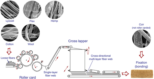 Figure 1. Process for manufacturing of insulation materials with a carding machine. The fibers in the upper part of the picture, from cotton to hemp, could all be processed with the carding machine, but the coir fiber bundles could not be processed with the carding machine. SEM images illustrate the diameter and surfaces of the fibers and fiber bundles.