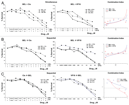 Figure 1 Belinostat is synergistic with either cisplatin or VP-16 when added simultaneously. Cells were treated with increasing concentrations of drugs as indicated. Control cells received media alone, and the data was normalized to these untreated cells. The ordinate indicates concentrations of each one of the drugs. The upper part shows survival curves of cells treated simultaneously for 96 h with belinostat, cisplatin or V-P16 alone or in combination as indicated. The middle part corresponds to cell survival following belinostat alone for 96 h, cisplatin or VP-16 for 72 h or in combination. The bottom parts show the results using a reverse order of administration: cisplatin or VP-16 for 96 h and belinostat for 72 h. The right hand graphs show mathematical modeling of the data, with ordinate showing fraction affected (Fa). Note that simultaneous treatment (upper part) shows synergistic effects with combination index CI < 1 at all fractions affected and for all drug combinations. One representative experiment from 3–5 independent experiments, each one performed in six replicas, is shown here. Similar data for romidepsin are shown in Figure S1.