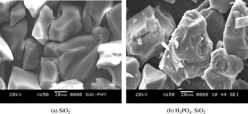Figure 1.  SEM images of (a) SiO2, (b) H3PO4.SiO2.