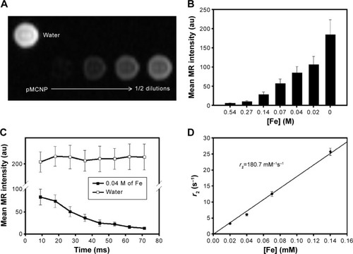 Figure 7 pMCNPs were evaluated for 3T GE MRI and ICP-MS. pMCNPs solutions were serially diluted in a 96-well plate and imaged by GE MRI.Notes: A lower number of pMCNPs had a brighter MR signal, which clearly demonstrated that T2 contrast effects depended on the pMCNP concentration (A). The total amount of Fe in pMCNPs directly influenced the MR signal (B). At longer echo times the hydrogen atoms were dephased by the particles faster, indicating the T2 contrast effects of pMCNPs (C). The r2 value (180.7 mM−1s−1) of pMCNP was calculated by ICP-MS and 3T GE MRI. The r2 value was higher than that of commercialized products, such as Feridex (120 mM−1s−1)Citation9 (D).Abbreviations: CNPs, chitosan nanoparticles; ICP-MS, inductively coupled plasma mass spectrometry; NCs, nanocubes; pMCNPs, peptide-conjugated chitosan nanoparticles; MR, magnetic resonance; MRI, magnetic resonance imaging; TEs, echo times; GE, General Electric.