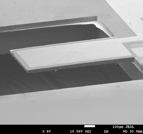 Figure 5. Fabricated ZnO cantilever.