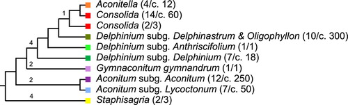 Figure 1. Synthetic molecular phylogeny of the tribe Delphinieae based on the works of Jabbour and Renner (Citation2011a, 2011b, 2012a, 2012b), Wang et al. (Citation2013) and Xiang et al. (Citation2017). The same color code is used in Figure 4, Supplementary Figure 1 and Supplementary Table 1. The number of species sampled and the total number of species in each infratribal group are given in parentheses.