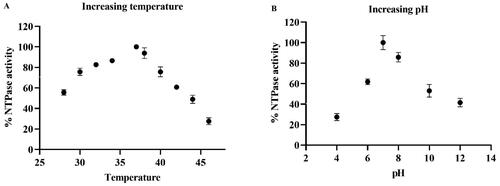 Figure 8. Effect of temperature and pH on enzyme activity: The above graph represents the effect of different temperatures and pH on NTPase activity.The protein and substrate concentrations were kept constant, and the reaction was incubated for temperatures ranging from 25 to 45 °C (Figure 8(A)), Also at a constant protein and substrate concentrations and varying pH from 2 to 14 (Figure 8(B)). The enzyme activity was measured as % NTPase. All the experiments were performed in triplicates. The data points in the graph represent the mean or average values, and the error bars indicate the standard deviation.