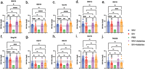 Figure 3. COBRA-IIVs can elicit broadly reactive antibodies in naïve mice.