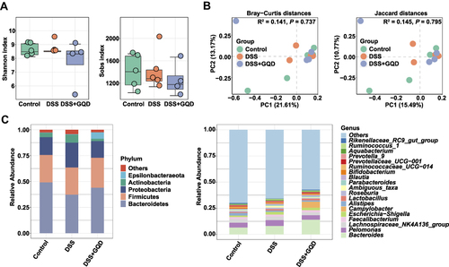 Figure 7 The alterations in the pulmonary microbiota structure of DSS-induced colitis mice. (A) Shannon and sobs index. (B) Principal coordinate analysis (PCoA) plots based upon Bray-Curtis distances and Jaccard distances. (C) Abundant phyla and genera. n = 4–5.