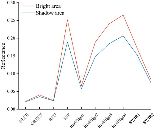 Figure 14. Canopy spectral reflectance of bamboo forest in Sentinel-2 MSI. The red solid line is the spectral reflectance of bamboo forest in bright area, and the blue solid line is the spectral reflectance of bamboo forest in shadow area.