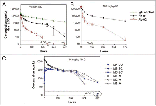 Figure 4 Serum concentration-time profiles of Ab-01 and Ab-02 following a single dose to cynomolgus monkeys. Ab-01 (filled circles in panels A and B and as indicated in panel C), Ab-02 (open circles in A and B), or an isotype control anti-human IL-13 antibody (open triangles in A) were administered to cynomolgus monkeys at indicated dose levels and routes (n = 3–4 per group), and test article concentrations in serum were determined by ELISA, as described in the text. Mean (A and B) or individual animal (C) concentrations are shown. Individual concentration values below the limit of quantitation (LOQ of 30 ng/mL for anti-IL-21R antibodies and 4 ng/mL for an isotype control) were treated as zero for calculations of the mean and standard deviation. Time points at which all (A) or specified (C) animals showed concentration values below the LOQ are indicated by ovals.