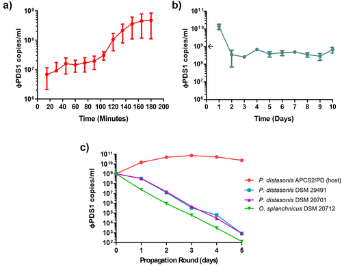 Figure 7. Biological characterization of φPDS1. (a) φPDS1 one-step growth curve. Sampling was performed every 15 minutes over 3 hours. The latent period was 90 minutes, and the burst size was ~ 23 copies per infected cell. (b) The titer of φPDS1 following continuous co-culture on the host over 10 days showing the persistence of the phage with its host. (c) Liquid propagation of φPDS1 on two commercial P. distasonis strains (DSM 29491 and DSM 20701) and O. splanchnicus (DSM 20712) was examined over five days with host P. distasonis APCS2/PD used as a control. Titres were determined in copies/ml via qPCR for all the experiments. Arrows on the y-axis indicate phage titer, after dilution, on initiation of the experiment. Error bars indicate standard deviation (n = 3).