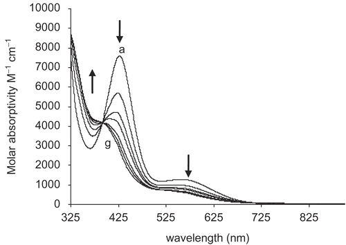 Figure 1.  Time-dependent change in the UV-visible spectrum of 3c in DMSO solution. A decrease in absorbance at 427 and 559 nm and an increase at 360 nm was observed. Spectrum “a” was recorded after 4 days; each subsequent spectrum was recorded with an interval of at least 1 day; spectrum “g” was recorded after 11 days.