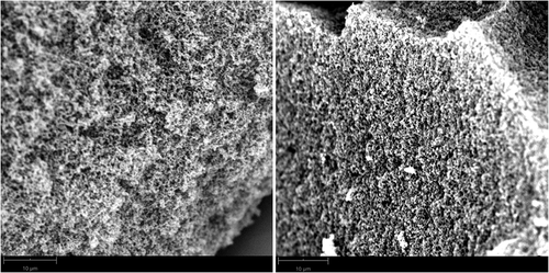 Figure 6. SEM image of the lignin–formaldehyde aerogel (F/L 2) before (left) and after (right) carbonization