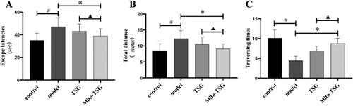 Figure 2. Morris water maze navigation experiment was performed in blank control group, model group, TSG group and Mito-TSG group (mean ± SD, n = 20). (A) Escape latency, (B) Total distance of activities, (C) Number of platform. # P<0.05, comparison with control group;*P<0.05, comparison with model group;▴P<0.05, comparison with TSG group.