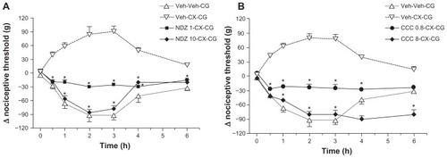 Figure 2 Reversal of celecoxib-induced hypoalgesia by nocodazole or colchicine. Celecoxib 12 mg/kg administered systemically 30 minutes before carrageenan prevented development of hyperalgesia after carrageenan and induced hypoalgesia (λ nociceptive threshold values greater than zero). In (A), pretreatment with intraplantar nocodazole 1 μg or 10 μg administered 60 minutes before carrageenan dose-dependently reversed the analgesic effects of celecoxib. Data are shown as the mean ± standard error of the mean for five rats in each treatment group. *P < 0.05, significant effect of nocodazole. Similarly in (B), intraplantar colchicine 0.8 μg or 8 μg administered 60 minutes before carrageenan reversed the effects of celecoxib. Data are shown as the mean ± standard error of the mean for five rats in each treatment group. *P < 0.05, significant effects of colchicine.