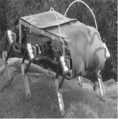 Figure 8 Image of RHex.Notes: Reproduced with permission from Altendorfer R, Moore N, Komsuoglu H, et al. RHex: a biologically inspired hexapod runner. Autonomous Robots. 2001;11(3):207–213, with kind permission from Springer Science and Business Media.Citation52