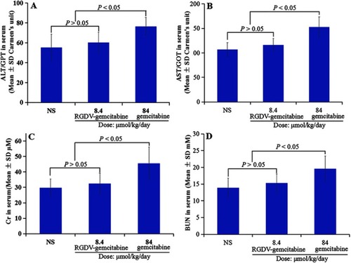 Figure 9 Serum ALT/GPT (A), AST/GOT (B), Cr (C) and BUN (D) of S180 mice treated by 8.4 μmol/kg/day of RGDV-gemcitabine and 84 μmol/kg/day of gemcitabine, n=12.Abbreviations: ALT/GPT, alanine aminotransferase; AST/GOT, aspartic aminotransferase; Cr, creatinine; BUN, blood urea nitrogen; RGDV-gemcitabine, 4-(Arg-Gly-Asp-Val-amino)-1-[3,3-difluoro-4-hydroxy-5-(hydroxylmethyl)oxo-lan-2-yl]pyrimidin-2-one.