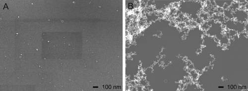 FIG. 4 SEM pictures of collected ZnO particles. (a)Volume flow 5655 m3/h; (b) volume flow 353 m3/h.