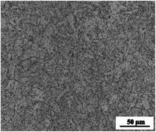 Figure 1. Microstructure of SA738Gr.B steel.