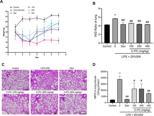 Figure 1 C-PC attenuates LPS and SW-induced lung injury in mice.