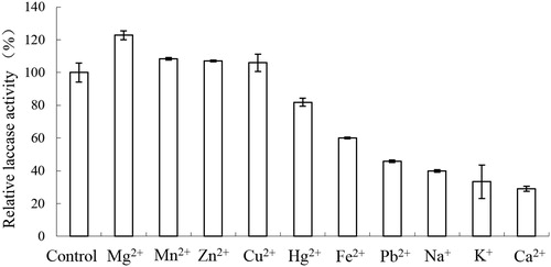 Figure 4. Effect of metals on laccase activities from Trametes sp. MA-X01.