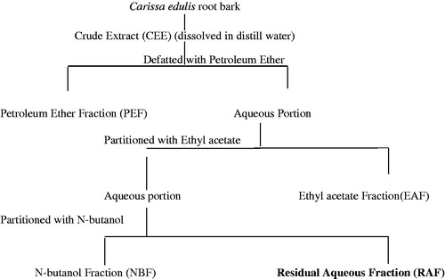 Figure 1. Scheme depicting different fractions of ethanolic root bark extract of Carissa edulis (CEE), EAF, NBF, PEF, and RAF.
