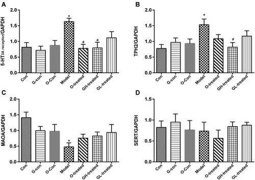 Figure 7 TPH-2, MAO-A, SERT, and 5-HT3 receptor mRNA expression in medulla oblongata. (A) 5-HT3 receptor, (B) TPH-1, (C) MAOA, (D) SERT.