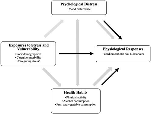 Figure 1. Conceptual model of stress and health/illness. *Adapted for the Analysis of Cardiometabolic Health in Cancer Caregivers.