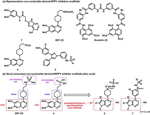 Figure 1. (a) Representative ENPP1 inhibitors. (b) Design of novel ENPP1 inhibitors possessing pyrrolopyrimidines and pyrrolopyridines core scaffolds.