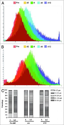 Figure 3. Cell size distribution of intermuscular adipocyte cultures at different days in culture from steers that grazed legumes with (LC) or without (L) corn grain supplementation (0.75% of body weight/d). Differentiation cocktail was added on d0. (A) L group, (B) LC group, and (C) Distribution.