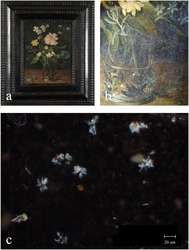 Figure 4. (a) Oil painting on copper Still life with flower in a glass, SK-A-2102, Jan Brueghel (II), c.1625–1630 before exposure in the showcase. (b) The same object after exposure in the showcase, showing tiny sparkling crystals, easily visible on dark paint using raking light. (c) Micrograph showing rosette-shaped crystals. Crystals in b and c were identified as type K5.