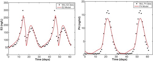 Figure 6. Ovarian hormones E2 and P4 for the merged model Equations (Equation5(5) ddtRPLH=v0LH+v1LHE2(t−dE)aKmLHa+E2(t−dE)a1+P4(t−dP)KiLH,P−kLH(1+cLH,PP4)RPLH1+cLH,EE2,(5) )–(Equation20(20) InhA=h0+h1DomF+h2Lut2+h3Lut3+h4Lut4.(20) ) with parameters of Table 2 are plotted against the McLachlan data [Citation23] for two cycles.