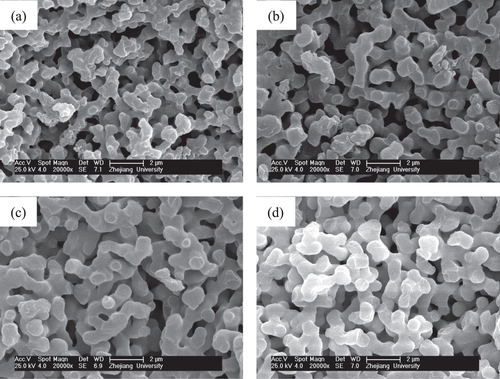 Figure 10. SEM images of ZrO2 monoliths before (a) and after solvothermal treatment with various ammonia concentrations: (b) 0.5 mol L−1, (c) 1.0 mol L−1 and (d) 2.0 mol L−1.