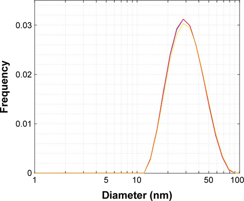 Figure S1 Particle size distribution (intensity-weighted) of VCAM-USPIO measured by DLS.Note: The 3 traces are repeated measurements of the same sample.Abbreviations: DLS, dynamic light scattering; USPIO, ultra-small superparamagnetic iron oxide; VCAM, vascular cell adhesion molecule.