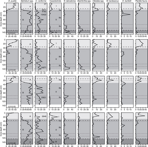 Fig. 6  Frequency distribution (%) of the main benthic foraminiferal taxa and the total planktic fauna in the >63 µm fraction in the studied cores. Assemblage Zones A, B and C (shades of grey), Lithological Units I, II and III (dashed lines) and Lithological Subunits IIa, IIb and IIc (dotted lines) are marked. Ages (Ky B.P.) are also indicated.