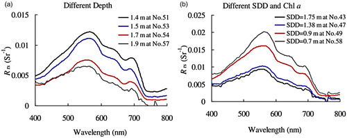Fig. 6 (a) Rrs spectra measured at several typical sites with (a) different water depths (1.4, 1.5, 1.7, and 1.9 m) and (b) different SDD transparency (SDD = 0.7, 0.9, 1.375, and 1.75 m).