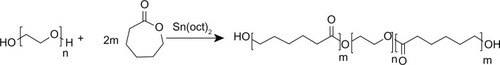 Figure 2 Synthesis of poly (ε-Caprolactone)-poly (ethylene glycol)-poly (ε-Caprolactone).