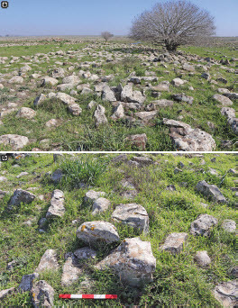 Fig. 9: a) General view of Height Spot 500 (Horvat ʾElah); b) segment of an eastern wall (photos by A. Pazout)