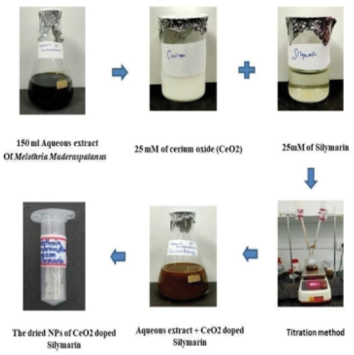 Figure 1. Melothria maderaspatana mediated synthesis of Ce-Sil NPs by the One-Pot synthesis method.