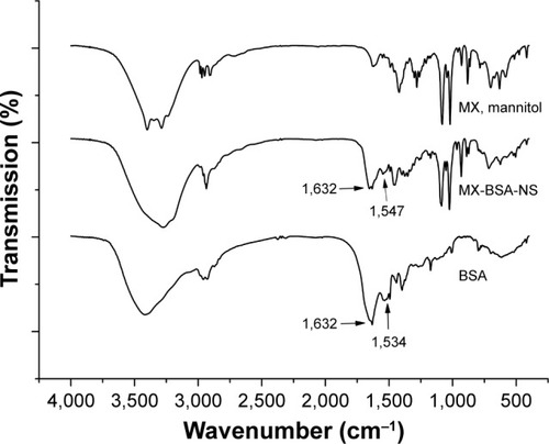 Figure 4 FTIR spectrum of BSA, MX-BSA-NS, and MX mixture (MX, mannitol).Abbreviations: BSA, bovine serum albumin; FTIR, Fourier transform infrared; MX, meloxicam; NS, nanosuspension.