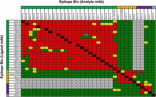 Figure 3. Competition binning of SARS-CoV-2 S1-binding antibodies. Cross-competition of antibody candidates with SARS-CoV-2 S1 protein was assayed by high throughput (HT)-SPR using the carterra LSA. Red, yellow, and green cells in the heat map represent competitive, weakly competitive, and noncompetitive blocked analyte/ligand pairs, respectively. White cells represent unaddressed pairs in the assay. Numbers in cell indicate the relative binding response to SARS-CoV-2 S1 only