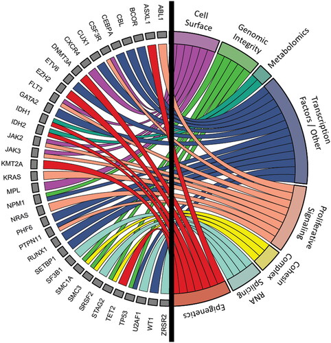 Figure 1. Functional genomic clusters in AML, organized alphabetically by known recurrently mutated genes. Width of chords in the circos plot do not correspond to frequency of aberrations.