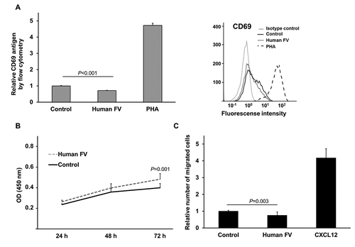 Figure 2. T cell activation marker CD69 levels, WST-1 proliferation analysis and cell migration of FV treated Jurkat T cells.