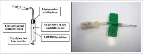 Figure 5 Micro-electrode is a non polarizable Ag/AgCl developed for neurophysiology studies in woody plants.