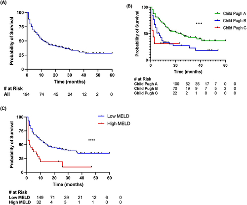 Figure 1 Kaplan–Meier analysis of survival data in relation to clinic-pathological variables. Survival rates are shown for: (A) all patients; (B) patients stratified by Child-Pugh score at initiation of ICI; (C) patients stratified by baseline MELD-Na score. Low MELD is 6–18, high MELD is 19–40. ****p-value<0.0001.