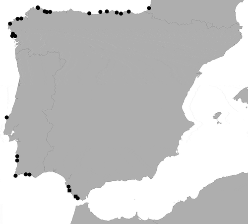 Fig. 26. Distribution of Polysiphonia foetidissima (circles) and P. schneideri (squares) along the Atlantic coasts of the Iberian Peninsula.